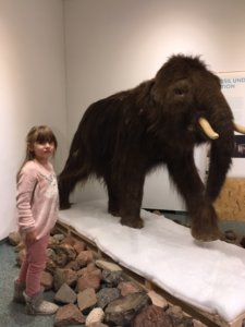 Wunderfinderkind im Naturkundemuseum