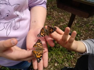 Schmetterlinge auf Kinderhänden